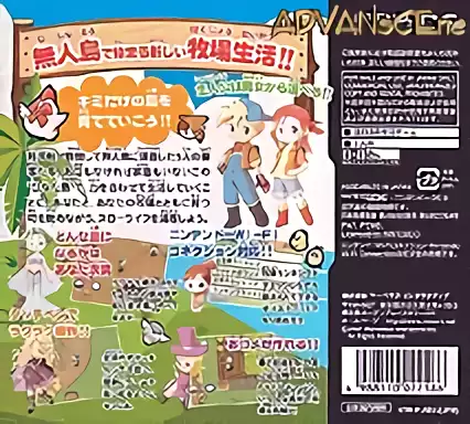 Image n° 2 - boxback : Bokujou Monogatari - Kimi to Sodatsu Shima